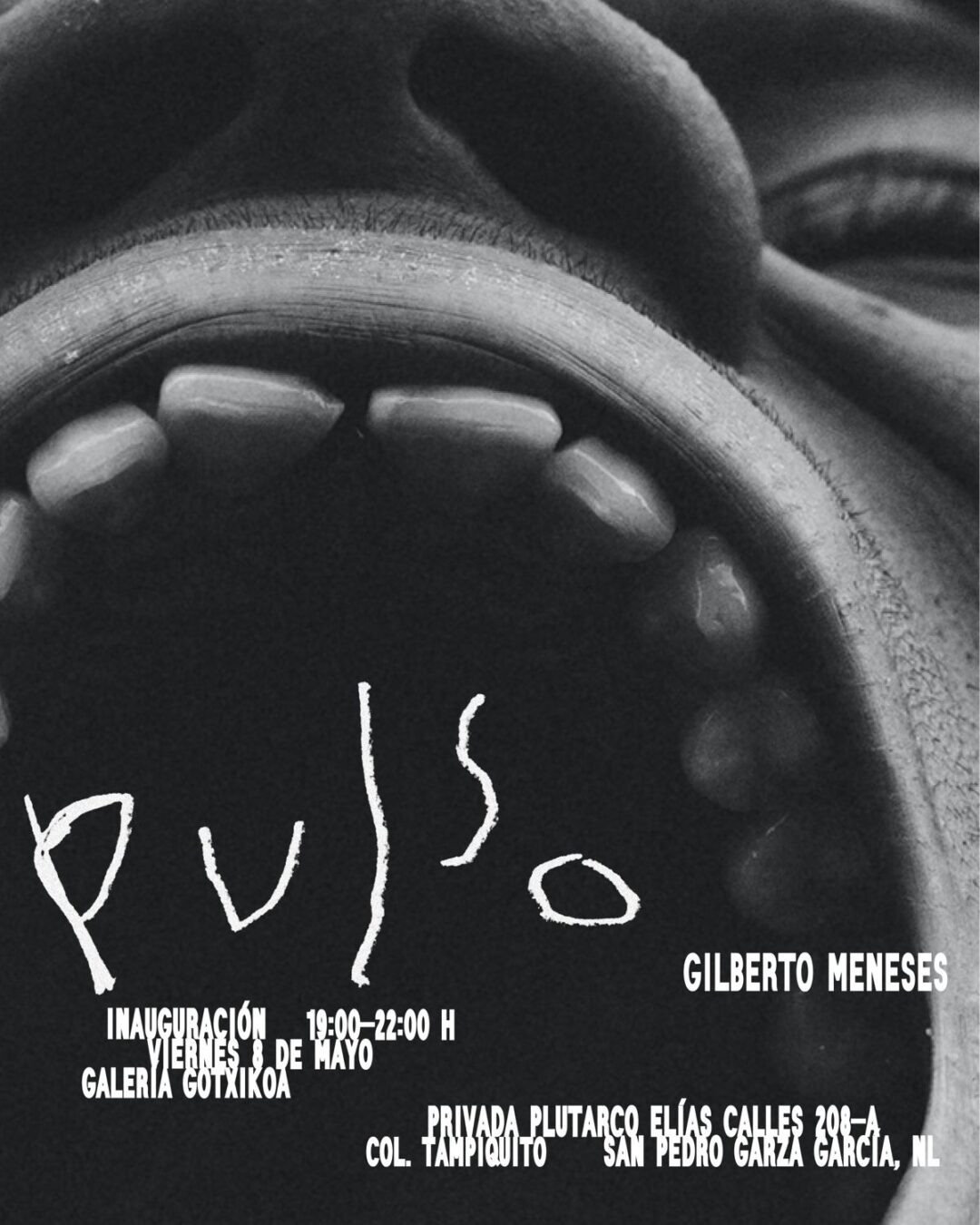 Pulso